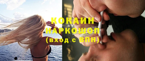 твердый Арсеньев