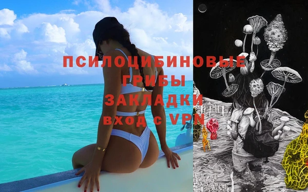 твердый Арсеньев
