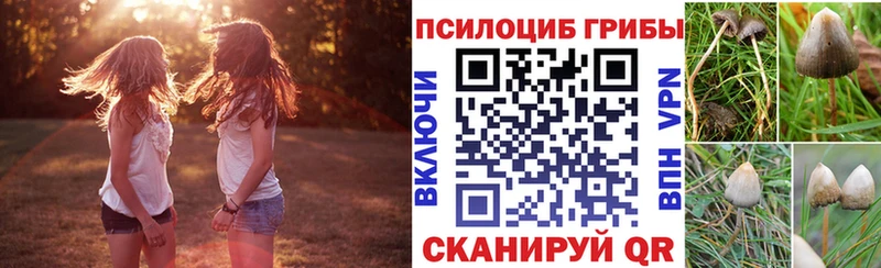 закладки  МЕГА вход  Псилоцибиновые грибы прущие грибы  Советская Гавань 